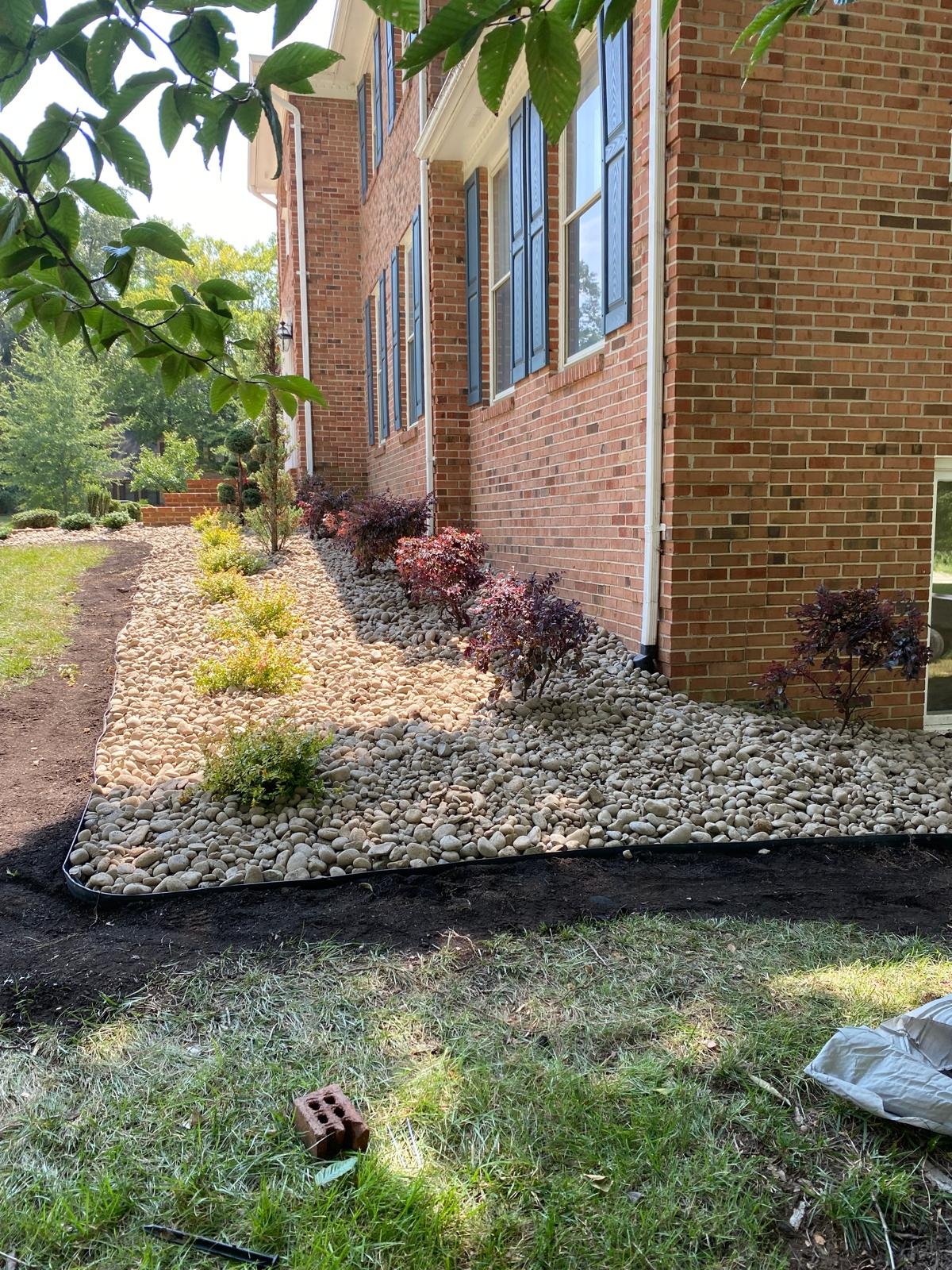 Plants mulch and landscaped garden
